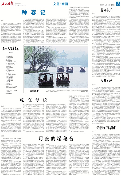 图片[1]-母亲的塌菜合-华闻时空
