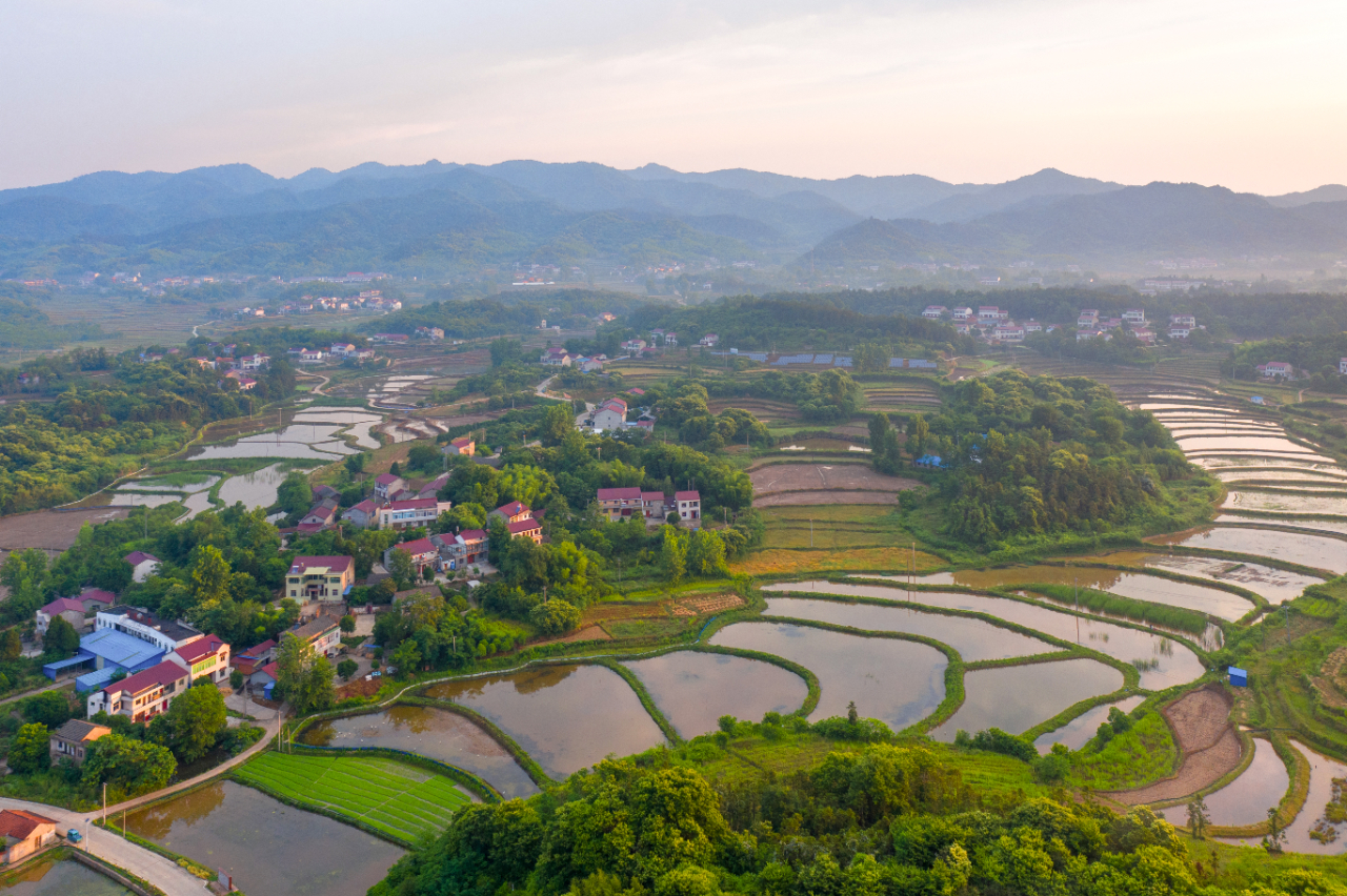 小满风景图图片