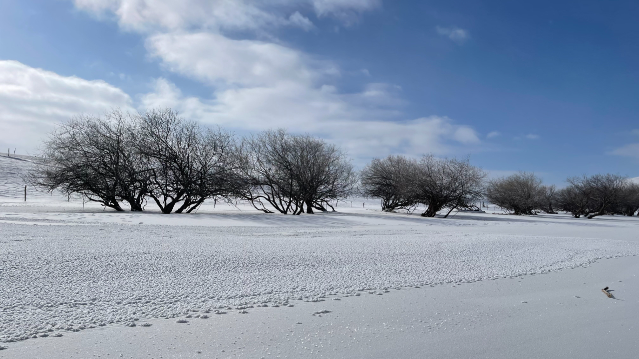 摄影内蒙古赤峰市乌兰布统北沟风景区雪景