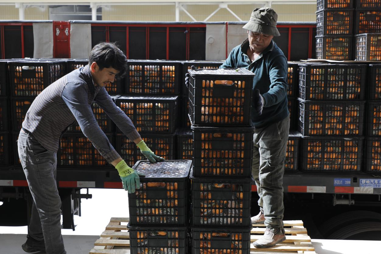 构建南疆"大仓储物流",让"包邮"不再难--工人日报客户端