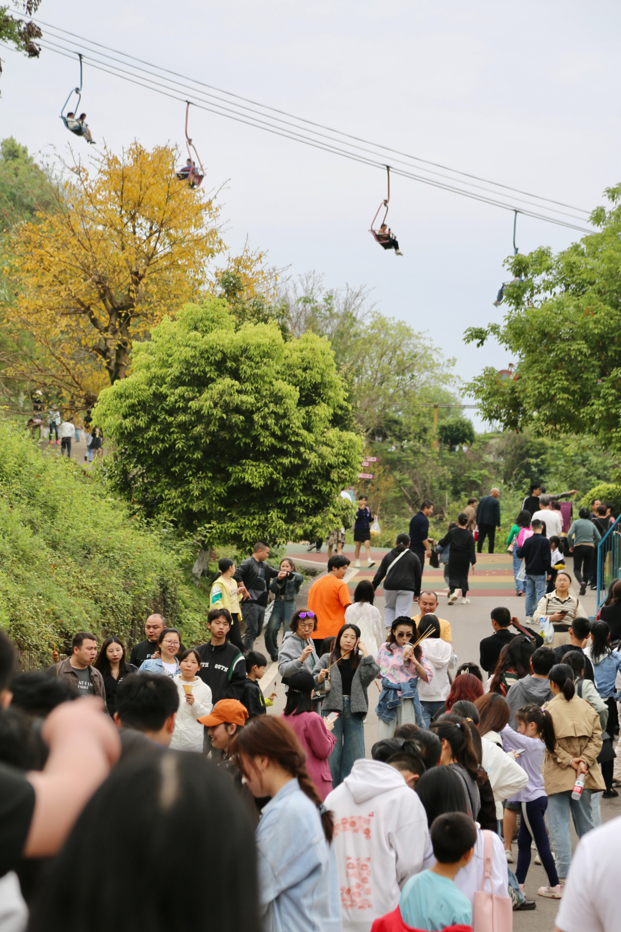 清明小长假重庆近郊游人气爆棚